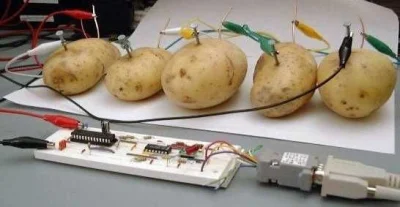 wsumiewkleilbymtulenny - ktoś w serwerowni:

Szturcha ziemniaka patykiem no zrób coś