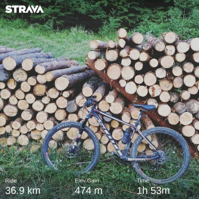 reddin - Szkoda, że mało lata w tym lecie, ale pokręcone. 

#mtb #rower #rowerowetr...