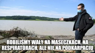 DanielPlainview - Przecież regularnie robili wały i to na wielką skalę.