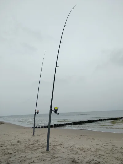 A.....3 - #ryby #wedkarstwo #surfcasting
No to łowię, otwarcie sezonu.