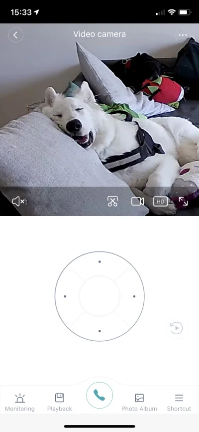typiara - Zainstalowałam kamerę w salonie coby podglądać aktywności piesów podczas mo...