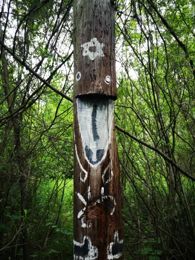 bencbenc321 - Jako bonus: totem pijany albo niespełna rozumu