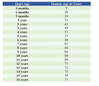 cieliczka - Ile "ludzkich" lat ma Twój pies?

Liczba lat psa x 7 to wg naukowców zł...