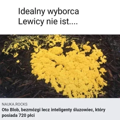 Jerrymerry1 - O nie xd
#neuropa #heheszki #humorobrazkowy #4konserwy #bekazlewactwa