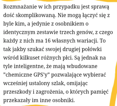 MatiasMoaViecki - @Geraltzkiwi: tutaj wyjaśnione