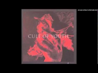 Sagez - Kolejny utwór Cult of Youth, czyli jak w udany sposób można łączyć neofolk z ...