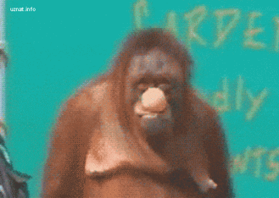 Dibhala - abrakadabra ( ͡° ͜ʖ ͡° )つ──☆*:・ﾟ xD

#smiesznypiesek #heheszki #gif