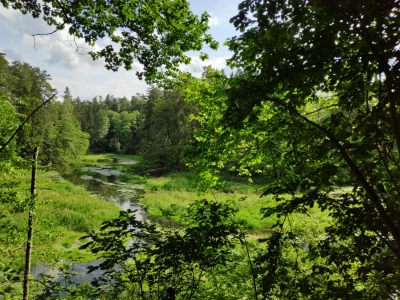 Kaplanka - Tak fajnie u mnie w lesie ʕ•ᴥ•ʔ
#warmia #olsztyn