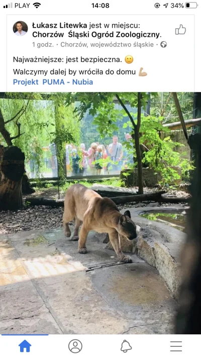 kicipuci - @AdamPogoda puma dawno siedzi juz w zoo w Chorzowie