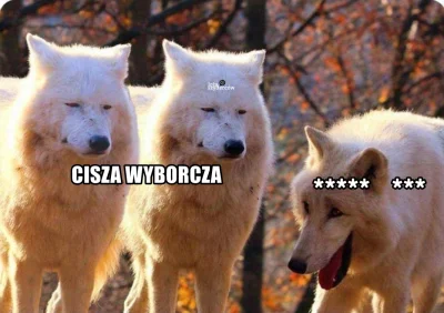 loza__szydercow - Cisza wyborcza w Polsce be like: 

#bekazpisu #heheszki #ruchosmi...