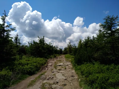 k.....a - Te chmury pęczniały jak szalone, jak na jakimś timelapsie