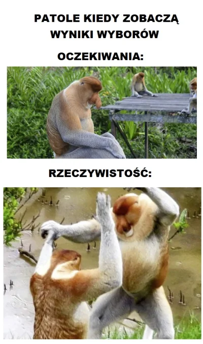 luteklutek - popełniłem memeska
#wybory #humorobrazkowy