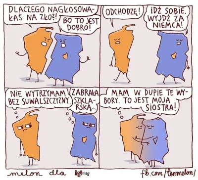 Sympatyczna_Kapibara - Po wyborach.

#wybory #polska #4konserwy #bekazlewactwa #bek...