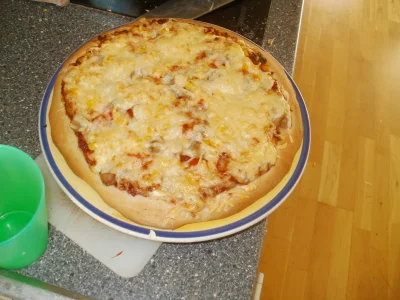anonymous_derp - Pizza zawsze z dodanym serem, tak 3x więcej niż było oryginalnie z p...