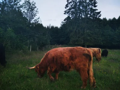 Patrick_Rowerovsky - Dzień trzydziesty czwarty. 

Przed poludniem nie robiłem nic a p...