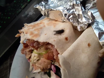 pinkduck - Naprawdę #!$%@?? XD
#kebab #mucha