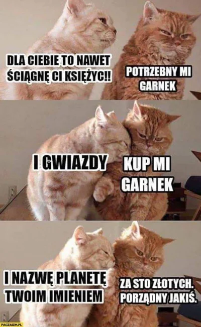 kaitek666 - #heheszki #koty #zwiazki