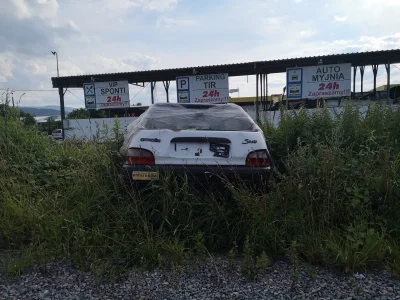 bencbenc321 - Nie bój się saxo, wszędobylskie motocykle cię tu nie znajdą

##!$%@? ...