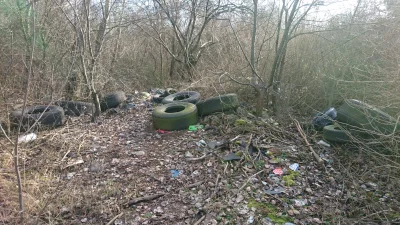 I.....I - Odchodząc trochę od tematu, mieszkam niedaleko i dość często bywam w okolic...