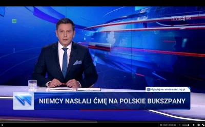 Klauklau - A czyja wina, że na hasło "pasek Wiadomości" można się spodziewać wszystki...