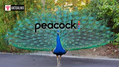 popkulturysci - Peacock wystartował i jest dostępny za darmo, ale do Netflixa mu dale...