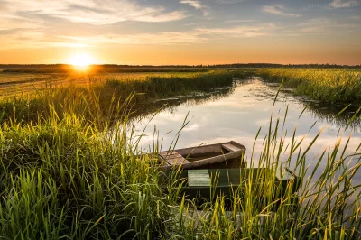 vitoosvitoos - Biebrzańskie klimaty.
Na blogu: https://witoldochal.blog/2020/07/17/b...