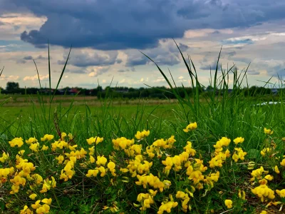 dzana - Taką fotę wczoraj zrobiłem. W komentarzu zdjęcie z szerszej perspektywy

#fot...