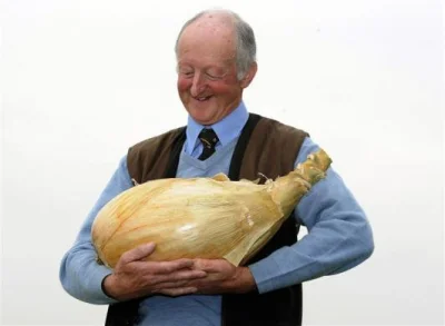 q.....0 - Najcięższą cebulę wyhodował Peter Glazebrook - ważyła 8,150 kg. Jest równie...