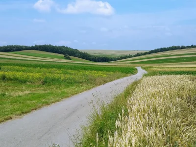 mucher - Mówcie, co chcecie, ale pn-zach okolice Krakowa to jest jednak uczta rowerow...