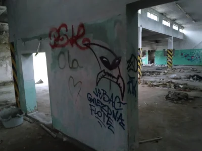 Gregre88 - Tytus chyba musi kogoś ustawić do pionu
#kapitanbomba #streetart #urbex