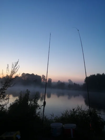 ddk15 - Piękny poranek, ognisko, kiełbaski, a leszki biorą aż miło ( ͡º ͜ʖ͡º) #wedkow...