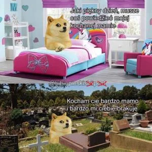 friendly_rateI - ( ͡° ʖ̯ ͡°)
#doge #zycie #feels