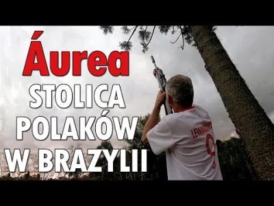 kapusta5 - W Brazylii też jest silna Polonia. Zwróćcie uwagę na piękny staropolski ję...