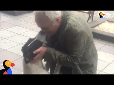 morgiel - kto zaczął kroić cebule? 
mężczyzna znajduje swojego psa po trzech latach....