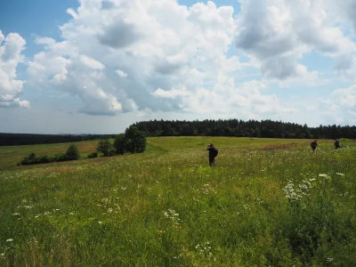 InspektorBywak - Pięknie tam! Właśnie dzisiaj miałem okazję podziwiać choćby taką mur...