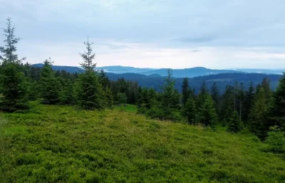 mucher - Taterków z Gorca Troszackiego nie było zbyt widać, ale te chmury w dolinach ...