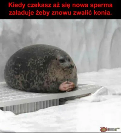 szajka - @Agresywna_Szyba: