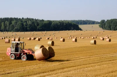 MalyBiolog - Wilkin: PiS dla rolników-producentów nie zrobiło nic >>> ZNALEZISKO

P...