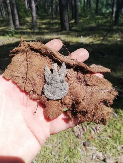 Zwiadowca_Historii - Piękny i dumny Polski Orzeł... prosto z pola Bitwy nad Bzurą w 1...