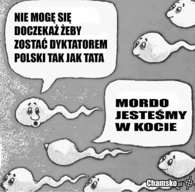 SebaD86 - #heheszki #czarnyhumor #humorobrazkowy #bekazpisu ##!$%@?