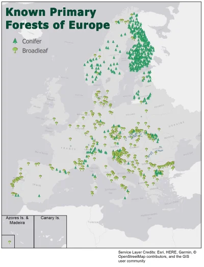 trgf - Jak to dobrze, że w Europie nikt nigdy nie wyciął pierwotnych lasów pod uprawy...