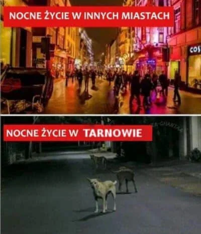 Pesa_elf - #tarnow #tarnowpiwo #heheszki #humorobrazkowy #humor #takaprawda