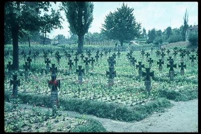 myrmekochoria - Hugo Jäger, Cmentarz niemieckich żołnierzy poległych we Francji, 1940...