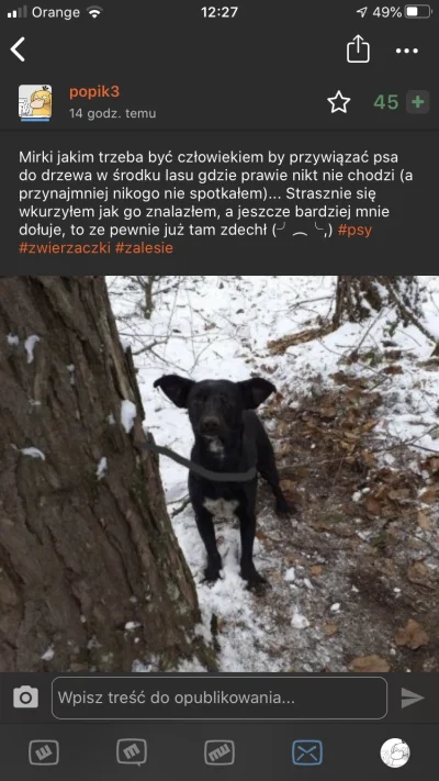 popik3 - Mirki otwieram tag #konkursnanajbardziejoczywistazarzutke i wrzucam jako pie...