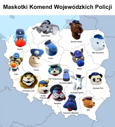 mala_kropka - Temat wspominkowy - podsumowanie 2019

Wrzucam sobie podsumowanie mir...