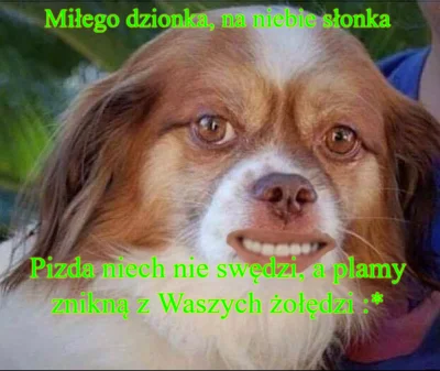 portoryko43 - Dzień dobry i miłego dnia 
#grazynacore #heheszki