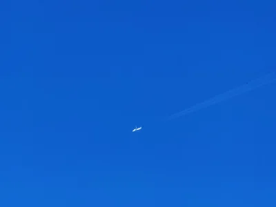 m.....o - wg flightradar byl na 31k ft
