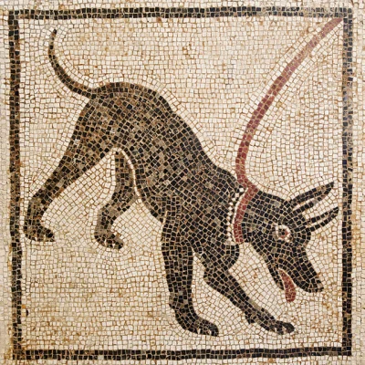 IMPERIUMROMANUM - Pies - wierny towarzysz antycznego Rzymianina

W starożytnym Rzym...