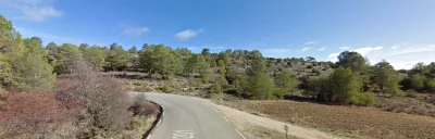 Y.....m - @Pantokrator: Przykładowy las w Hiszpanii. I tak to wygląda w niemal całym ...