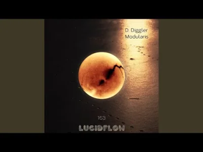 Xonar - D. Diggler - Modularis
Słuchając tego mam wrażenie jakbym się właśnie znajdo...